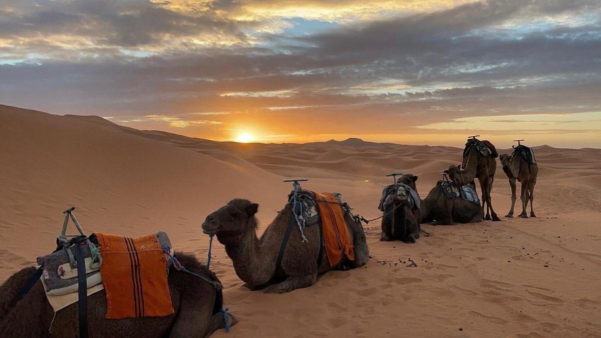 Chegaga Desert Trips M'Hamid El Ghizlane Extérieur photo
